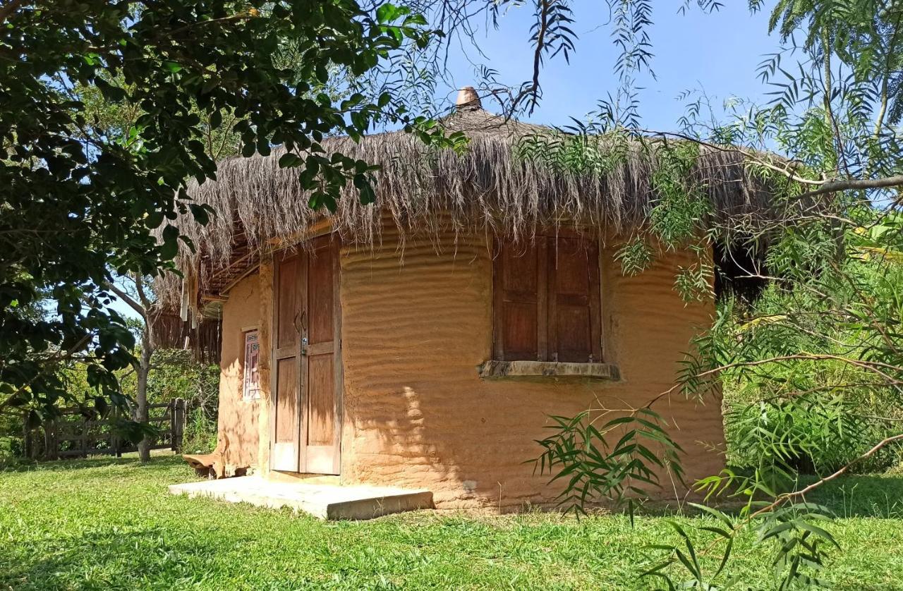 Sitio Monte Alegre Hotel Ibicoara Kültér fotó