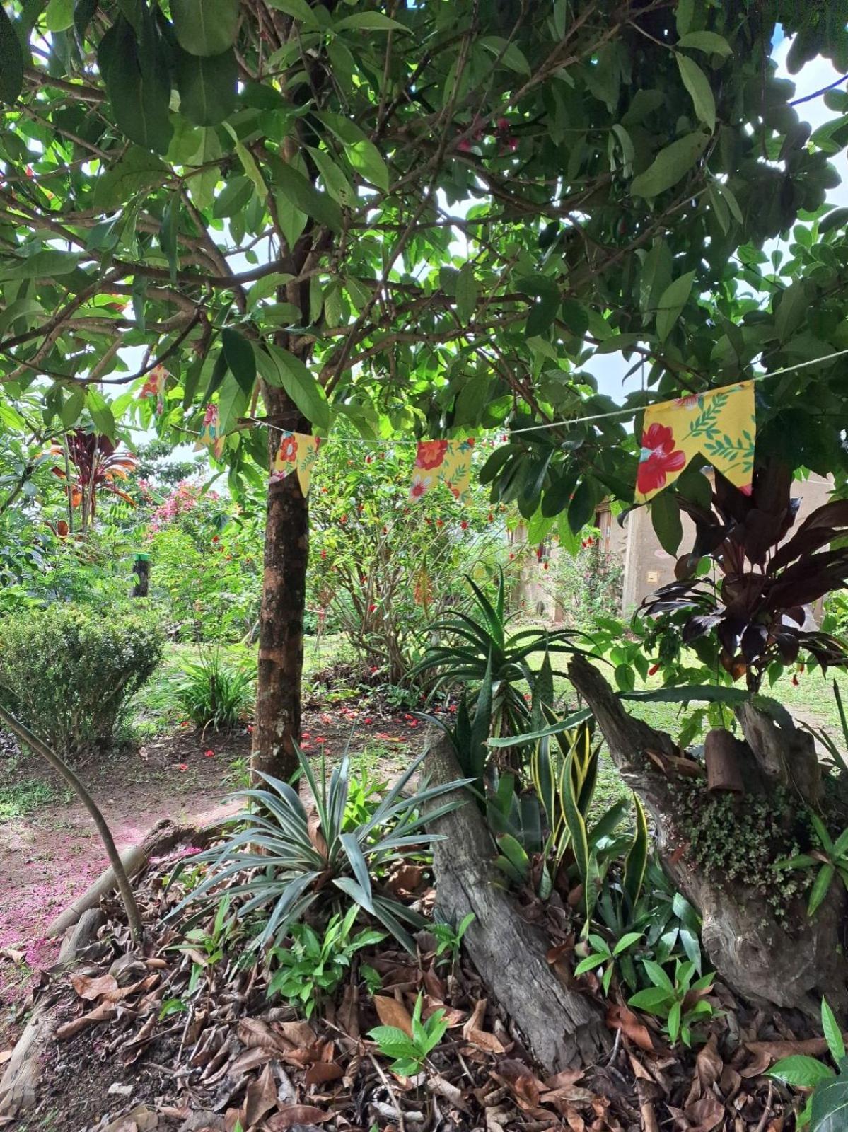 Sitio Monte Alegre Hotel Ibicoara Szoba fotó